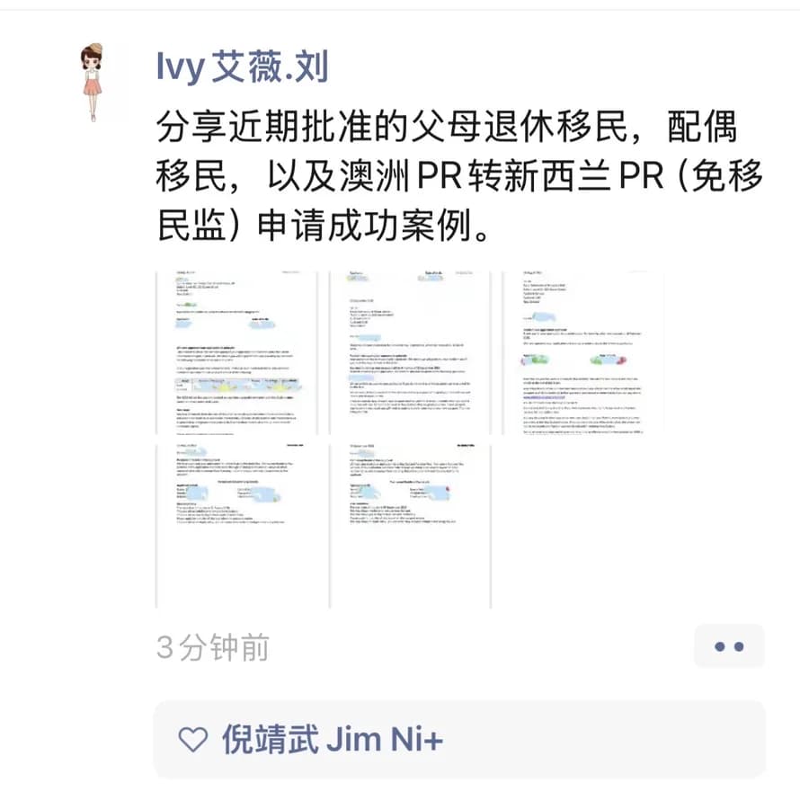 Ivy关于父母退休移民配偶移民和澳洲PR转新西兰PRV案例的脱敏分享截图